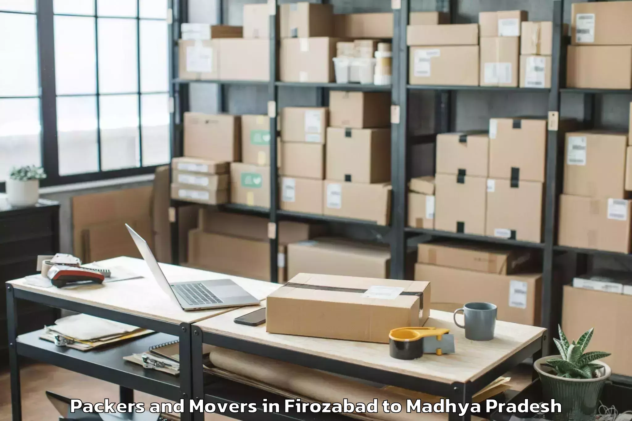 Reliable Firozabad to Pandhana Packers And Movers